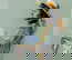 item-209228635=4