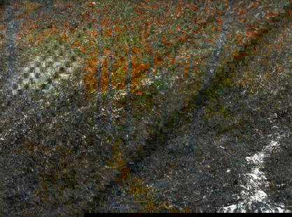 Hickey (US,early 20C) oil painting antique 2-sided: ARTIST: Hickey (American, early 20 century) TITLE: Forest Stream Landscape MEDIUM: oil on board CONDITION: Few minor paint losses mostly along edges. No visible inpaint unde