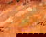 item-209228769=4