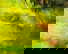 item-209228834=8