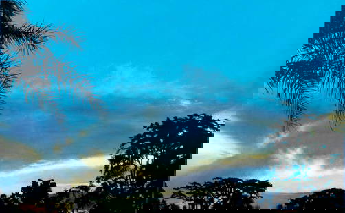 Teresa Ann Frazee (Florida,b 1953) acrylic painting: ARTIST: Teresa Ann Frazee (FL,born 1953) TITLE: Tropical Sunset Landscape MEDIUM: acrylic on board CONDITION: Very good. No visible inpaint under UV light. ART SIZE: 32 x 48 inches / 81 x 121 cm