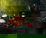 item-209229034=1