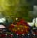 item-209229034=6