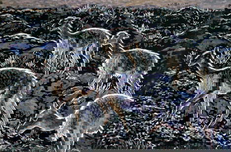 Evelyn Metzger (NY,Brazil,1911-2007) oil painting: ARTIST: Evelyn Borchard Metzger (New York, Brazilian, 1911 - 2007) TITLE: Guanaco Family YEAR: 1994 MEDIUM: oil on board CONDITION: Some damages to cor