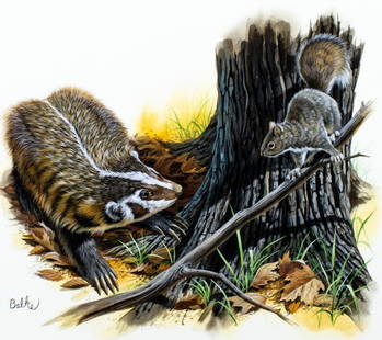 Don Balke (NC,1933-?) gouache painting: ARTIST: Don Balke (North Carolina, 1933 - ???) TITLE: American Badger (titled on verso) YEAR: 1978 MEDIUM: gouache and watercolor on paper. Paper applied to board.