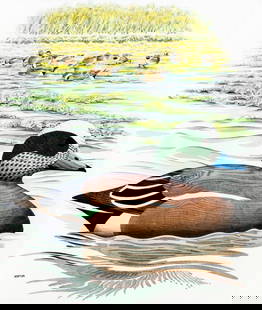 Michael Warren (UK,1938-?) watercolor painting: ARTIST: Michael Warren (United Kingdom, 1938 - ???) TITLE: American Wigeon Decoy Duck (titled on verso) YEAR: 1984 MEDIUM: watercolor on heavy paper CONDITION:<