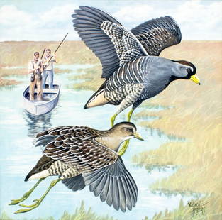 Wallace Hughes (FL,1918-2010) gouache painting: ARTIST: Wallace Oscar Hughes (Florida, 1918 - 2010) TITLE: Birds, Sora Rail, Florida (titled on verso) YEAR: 1958 MEDIUM: gouache on heavy paper CONDITION: