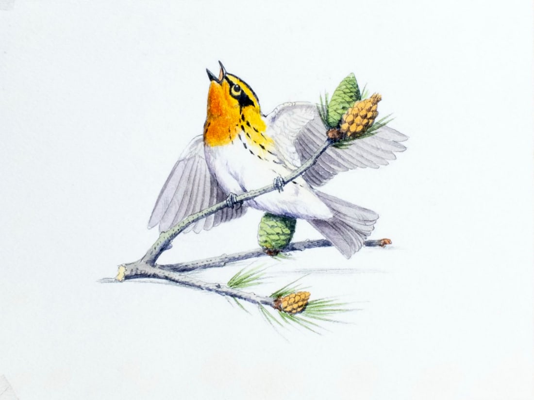 Peter Barrett (UK,1935-?) watercolor painting (1 of 14)