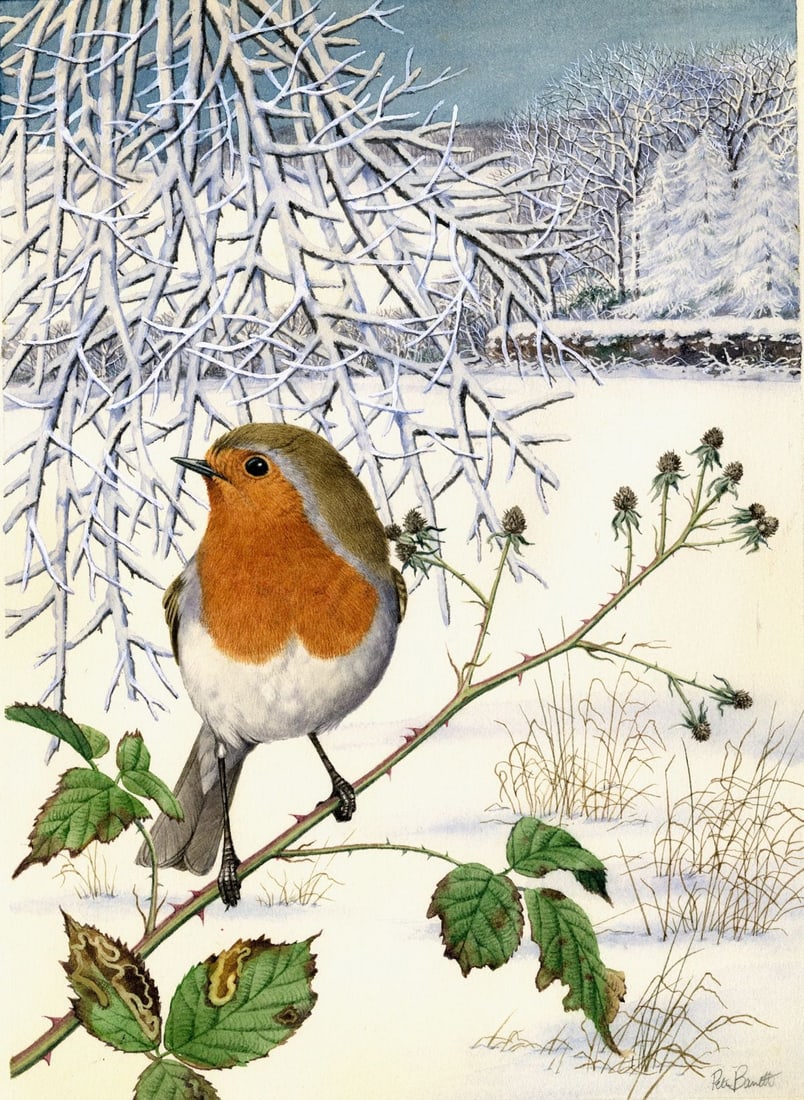 Peter Barrett (UK,1935-?) watercolor painting: ARTIST: Peter Barrett (United Kingdom, 1935 - ???) TITLE: After the Snowfall (titled on verso) YEAR: 1980 MEDIUM: watercolor on paper. Paper applied to board. C