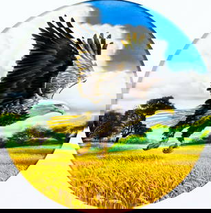 William Teodecki (MD,20C) gouache painting: ARTIST: William G Teodecki (Maryland, 20 century) TITLE: Flying Eagle MEDIUM: gouache on paper. Paper applied to board. CONDITION: Some foxing. Some small damages to the low