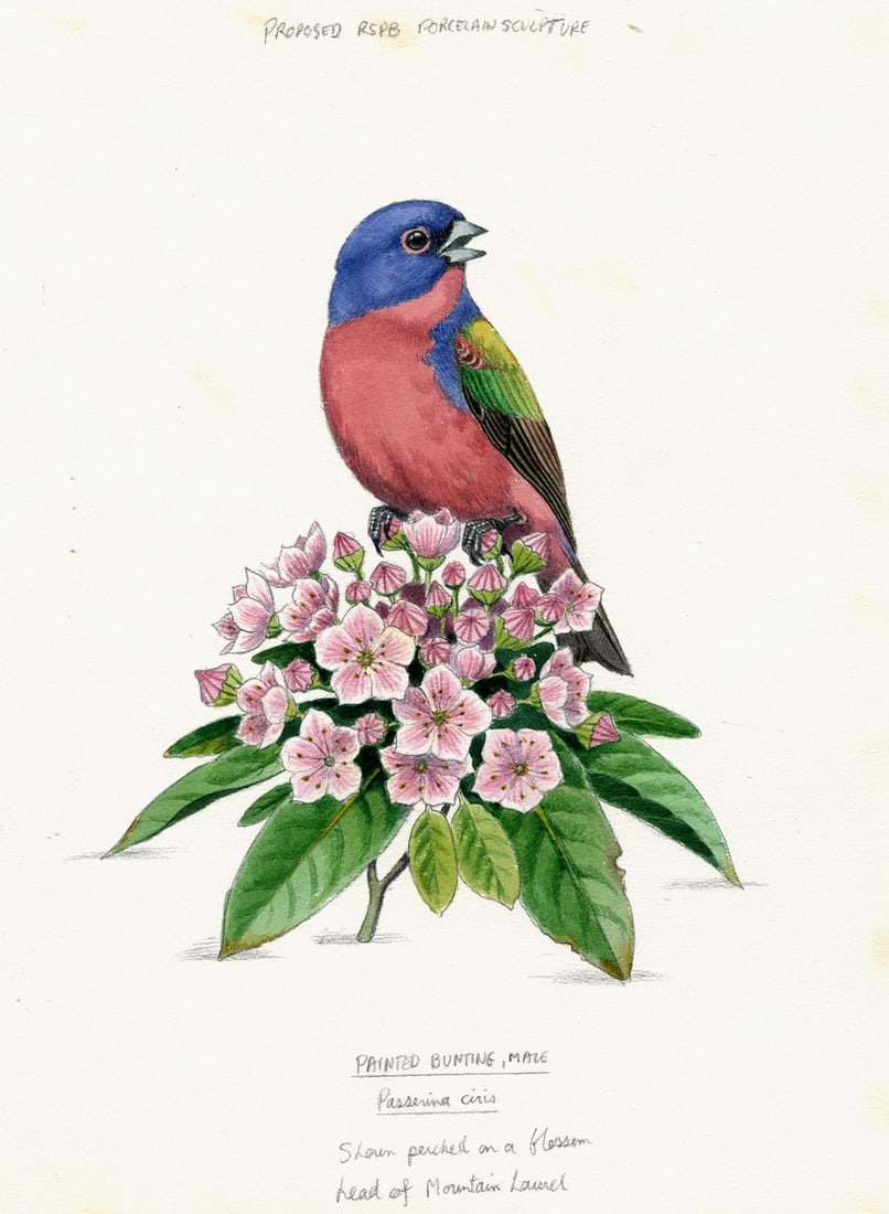 Peter Barrett (UK,1935-?) watercolor painting: ARTIST: Peter Barrett (United Kingdom, 1935 - ???) TITLE: Painted Bunting Bird MEDIUM: watercolor on paper. Paper applied to board. CONDITION: Some foxing. Minor age tonin