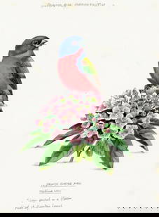 Peter Barrett (UK,1935-?) watercolor painting: ARTIST: Peter Barrett (United Kingdom, 1935 - ???) TITLE: Painted Bunting Bird MEDIUM: watercolor on paper. Paper applied to board. CONDITION: Some foxing. Minor age tonin