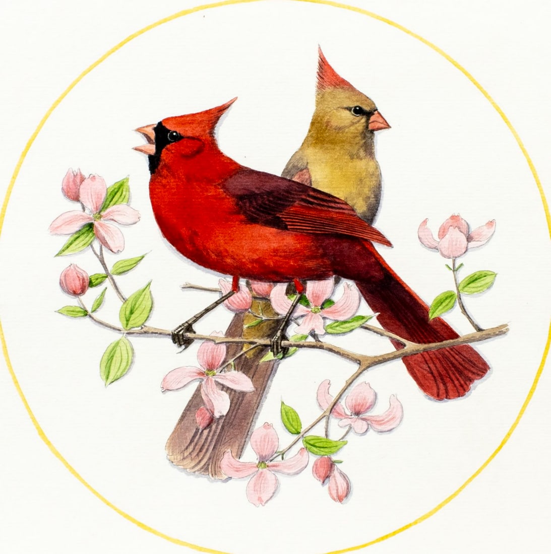 Peter Barrett (UK,1935-?) watercolor painting: ARTIST: Peter Barrett (United Kingdom, 1935 - ???) TITLE: Cardinal Birds on Pink Dogwood MEDIUM: watercolor on heavy paper CONDITION: One small tear to the lower edge. Few