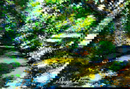 David Zimmerman (NC,b 1946) oil painting 126384: ARTIST: David Zimmerman (North Carolina, born 1946) TITLE: Landscape - Ruisseau (titled on label) YEAR: 1998 MEDIUM: oil on board CONDITION: Very good. N
