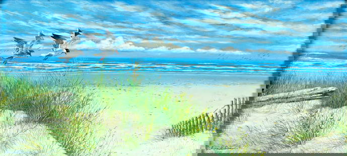 Jim Hitesman (US,20C) oil painting: ARTIST: Jim Hitesman (American, 20 century) TITLE: Beach Landscape with Gulls YEAR: 1990 MEDIUM: oil on board CONDITION: Few small scratches. No visible