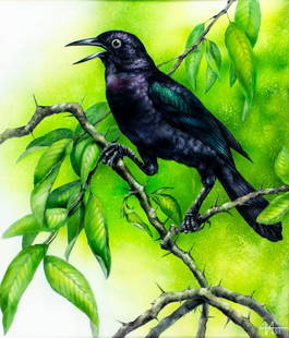 Alexei Isakov (Russia,20C) gouache painting: ARTIST: Alexei Isakov (Russian, 20 century) TITLE: Grenada Grenadines - Carib Crackler Bird YEAR: 1991 MEDIUM: gouache and watercolor on heavy paper CONDITION: