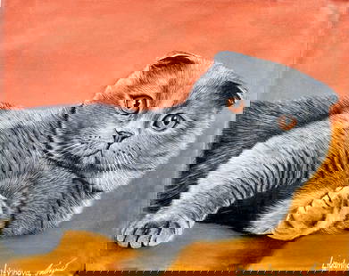Lyudmila Litvinova (Russia,b 1991) acrylic painting: ARTIST: Lyudmila Litvinova (Russian, born 1991) TITLE: Scottish Fold Cat (titled on verso) MEDIUM: acrylic on canvas CONDITION: Unstretched (In-House stretching available).