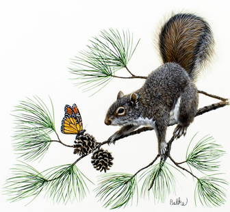 Don Balke (NC,1933-?) gouache painting: ARTIST: Don Balke (North Carolina, 1933 - ???) TITLE: Gray Squirrel and Pine, North Carolina (titled on verso) YEAR: 1979 MEDIUM: gouache on paper. Paper applied to board.