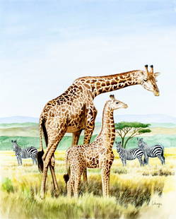 Pal Varga (Hungary,1937-?) watercolor painting: ARTIST: Pal Varga (Hungarian, 1937 - ???) TITLE: Wildlife of Uganda - Giraffe and Zebra (titled on verso) YEAR: 1996 MEDIUM: watercolor on heavy paper CONDITION