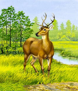 Chuck Ripper (WV,PA,1929-2019) gouache painting: ARTIST: Chuck Ripper (West Virginia, Pennsylvania, 1929 - 2019) TITLE: Elds Deer, Brow-antlered Deer Cervus-Eldi (titled on verso) YEAR: 2004 MEDIUM: gouache on board <