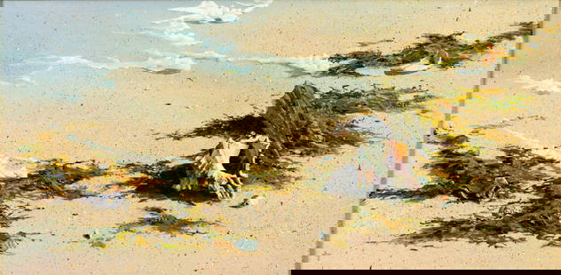Vintage 20C American oil painting: ARTIST: - (American, 20 century) TITLE: Beach Scene with Shells MEDIUM: oil on canvas CONDITION: Minor craquelure. No visible inpaint under UV light. Wear to frame.