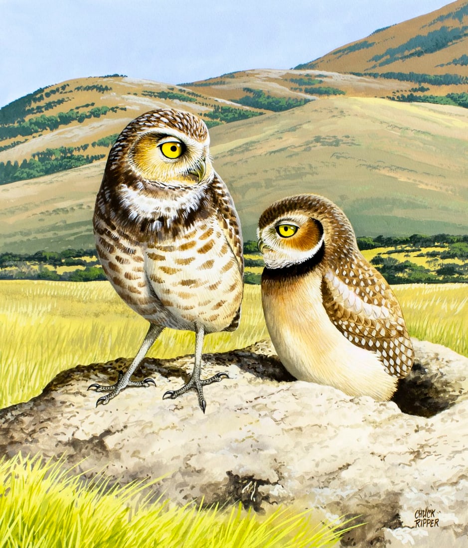 Chuck Ripper (WV,PA,1929-2019) gouache painting (1 of 13)