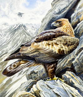 Michael Warren (UK,1938-?) watercolor painting: ARTIST: Michael Warren (United Kingdom, 1938 - ???) TITLE: Golden Eagle (titled on verso) YEAR: 1989 MEDIUM: watercolor on heavy paper CONDITION: Minor
