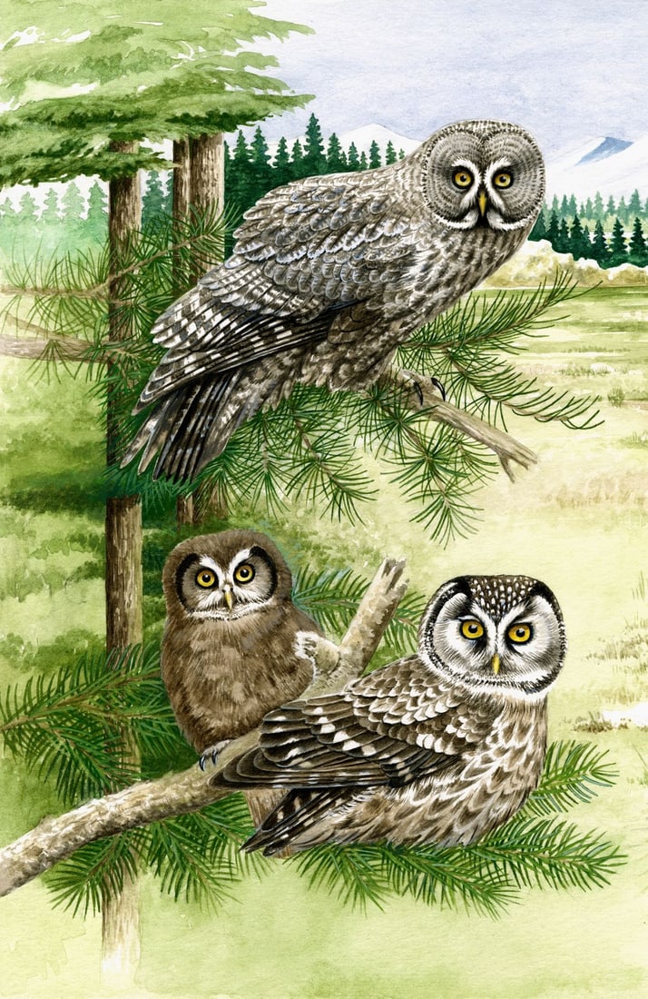 Pal Varga (Hungary,1937-?) watercolor painting: ARTIST: Pal Varga (Hungarian, 1937 - ???) TITLE: Owl Birds MEDIUM: watercolor on heavy paper CONDITION: Minor damages to the lower left corner and the left edge.
