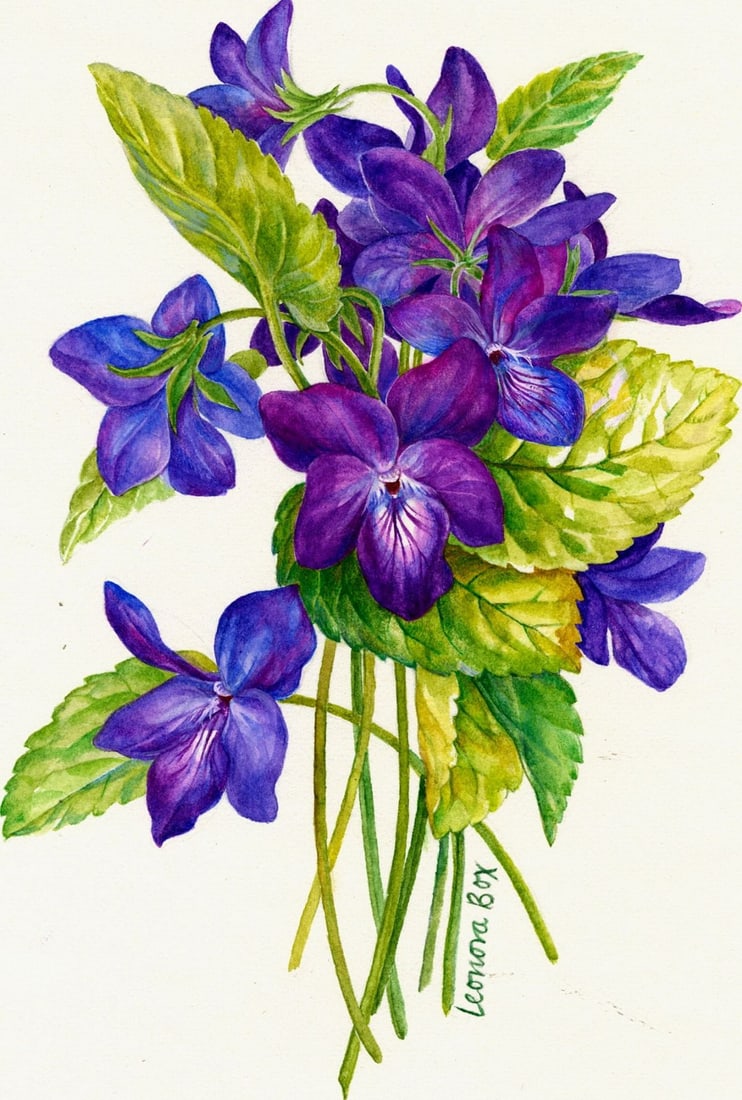 Leonora Box (UK,1936-?) watercolor painting (1 of 13)