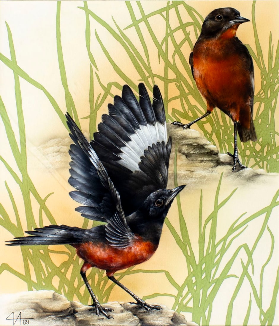 Alexei Isakov (Russia,20C) gouache painting: ARTIST: Alexei Isakov (Russian, 20 century) TITLE: Ethiopia - White-winged Cliff Caht Birds YEAR: 1989 MEDIUM: gouache and watercolor on heavy paper CONDITION: