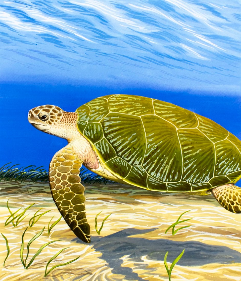 Chuck Ripper (WV,PA,1929-2019) gouache painting: ARTIST: Chuck Ripper (West Virginia, Pennsylvania, 1929 - 2019) TITLE: Green Turtle (titled on verso) YEAR: 1998 MEDIUM: gouache on board CONDITION: Mi
