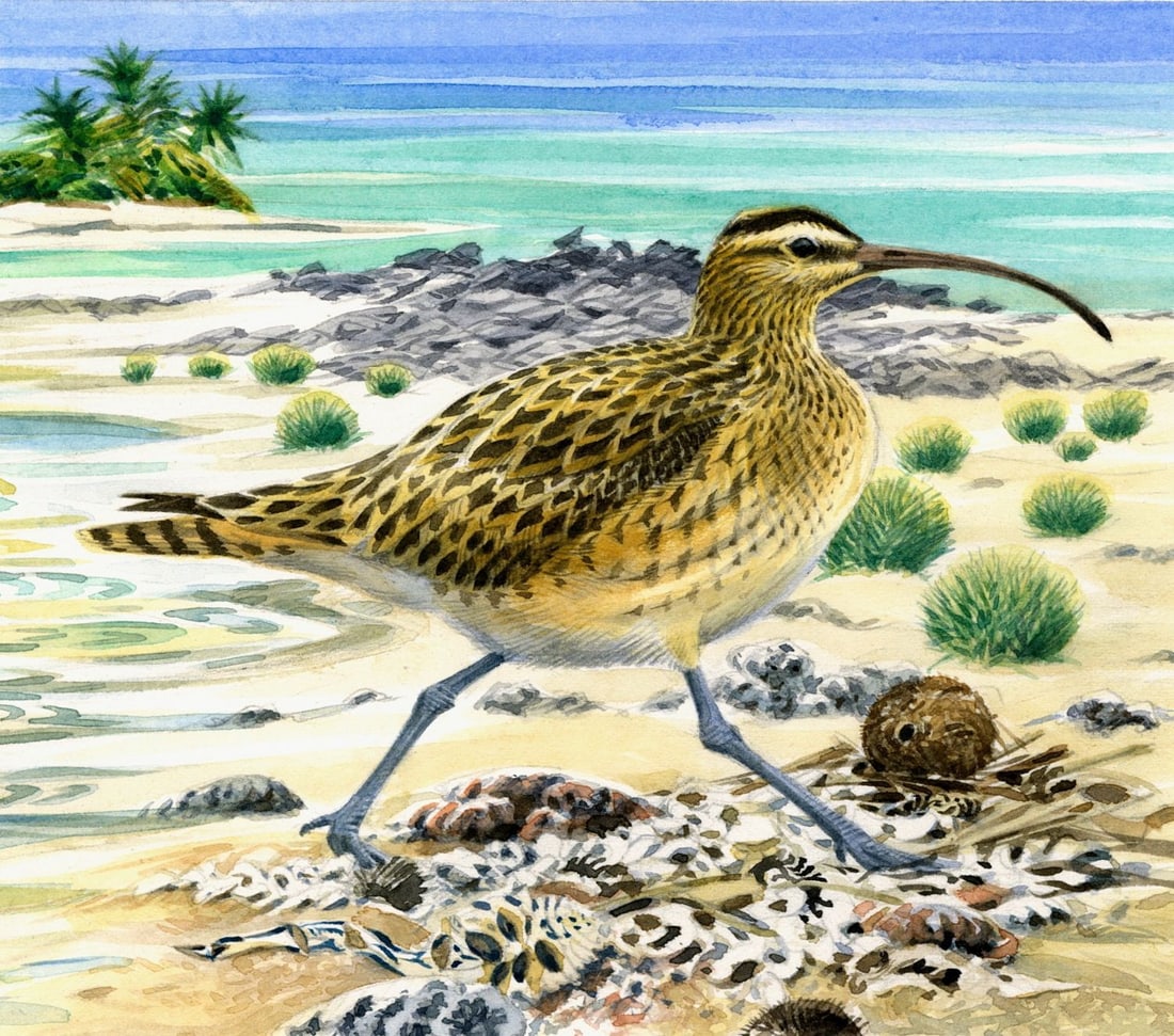 Michael Warren (UK,1938-?) watercolor painting (1 of 12)