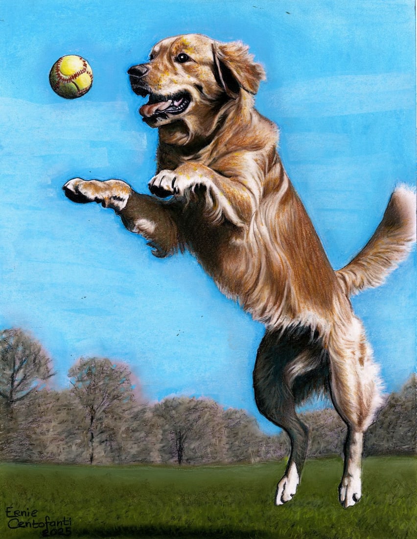 Ernie Centofanti (CA,b 1956) pastel painting: ARTIST: Ernie Centofanti (California, born 1956) TITLE: Golden Retriever Dog Jumping MEDIUM: pastel on paper CONDITION: Very good. ART SIZE: 13 x 10 inch