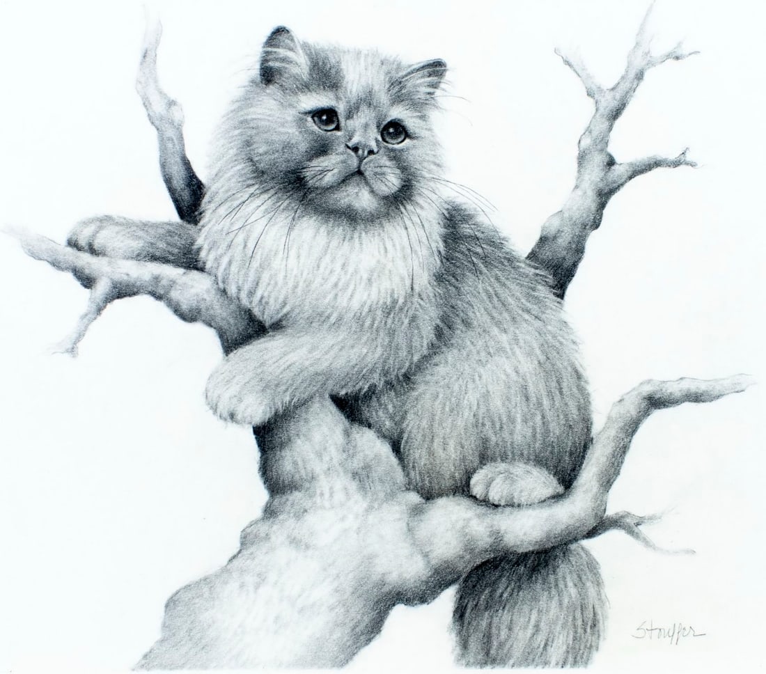 Stephanie Stouffer (VT,20/21C) graphite painting: ARTIST: Stephanie Stouffer (Vermont, 20/21 centuries) TITLE: Smoke Persian Cat (titled on verso) YEAR: 1979 MEDIUM: graphite on board CONDITION: Overall