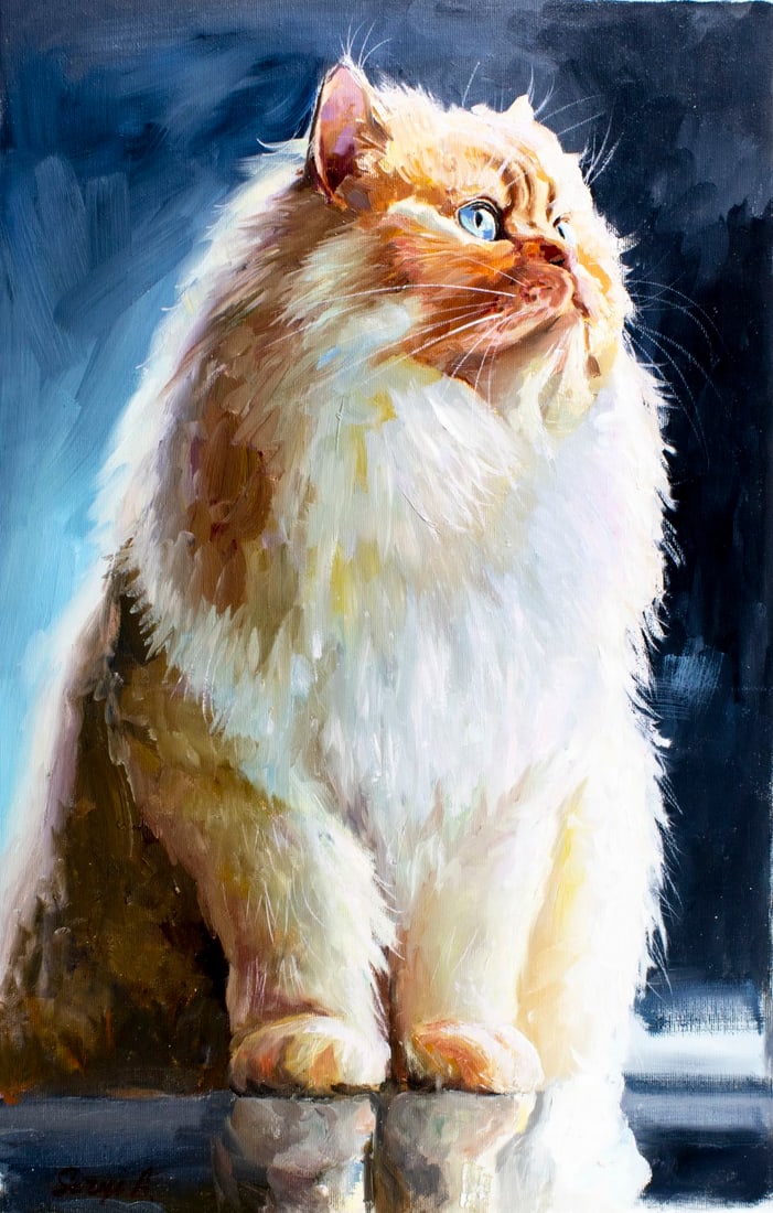 Alex Siryi (Ukraine,b 1997) oil painting: ARTIST: Alex Siryi (Ukrainian, born 1997) TITLE: Persian Cat MEDIUM: oil on canvas CONDITION: Unstretched (In-House stretching available). Very good. No visible inpaint unde