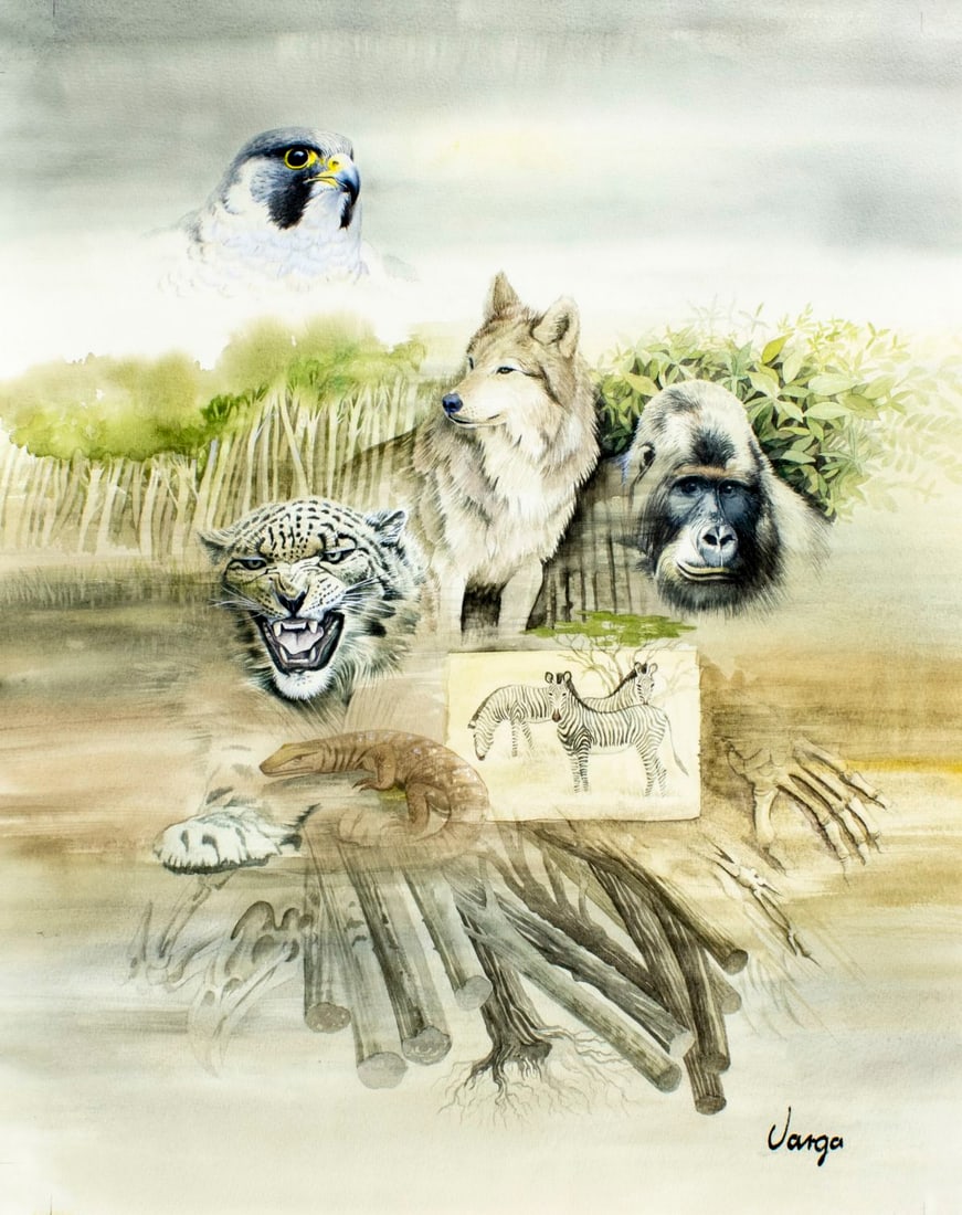 Pal Varga (Hungary,1937-?) watercolor painting: ARTIST: Pal Varga (Hungarian, 1937 - ???) TITLE: UN Endangered Species (titled on verso) YEAR: 1992 MEDIUM: watercolor on heavy paper CONDITION: Overall