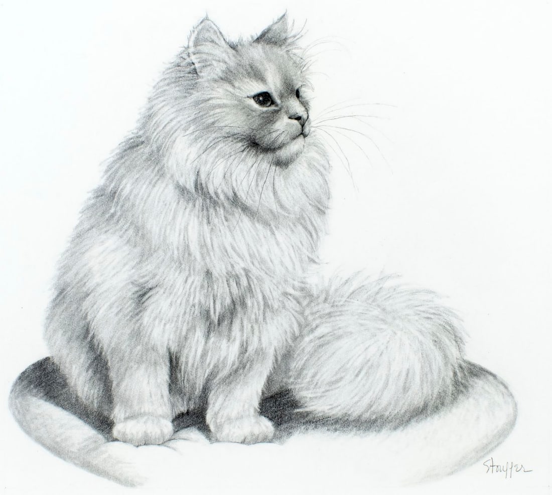 Stephanie Stouffer (VT,20/21C) graphite painting: ARTIST: Stephanie Stouffer (Vermont, 20/21 centuries) TITLE: Blue Cream Persian Cat (titled on verso) YEAR: 1979 MEDIUM: graphite on board CONDITION: Ove