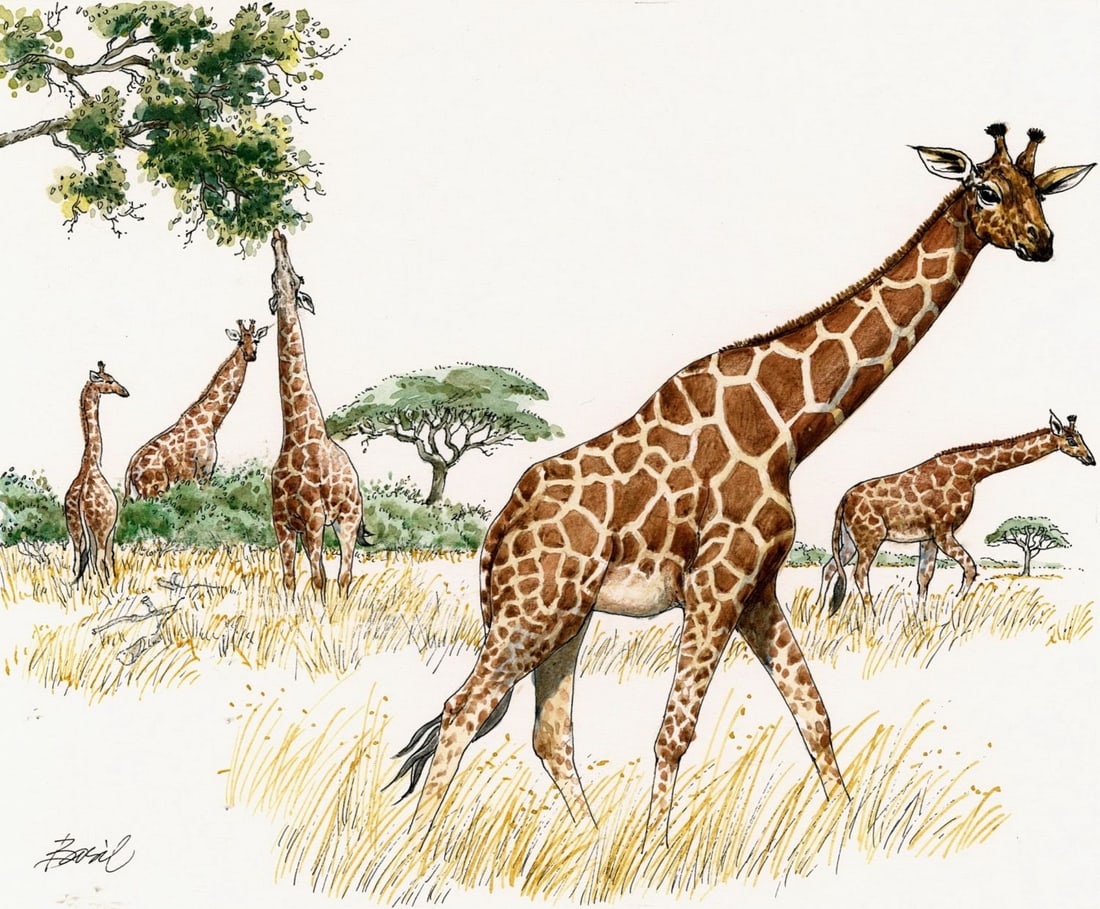 Basil Smith (UK,1925-2010) watercolor painting (1 of 14)