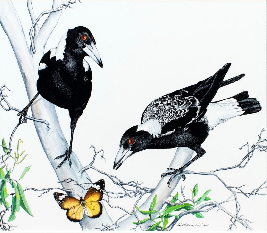 Kay Breeden Williams (Australia,1939-?) watercolor painting (1 of 13)