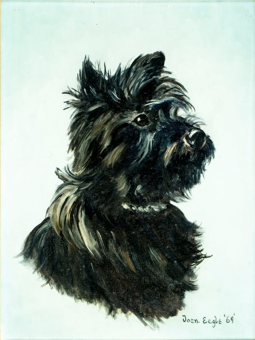 Joan Eagle (US,1924-2016) oil painting: ARTIST: Joan Eagle (American, 1924 - 2016) TITLE: Scottish Terrier Dog YEAR: 1969 MEDIUM: oil on canvas CONDITION: Overall good. No visible inpaint und