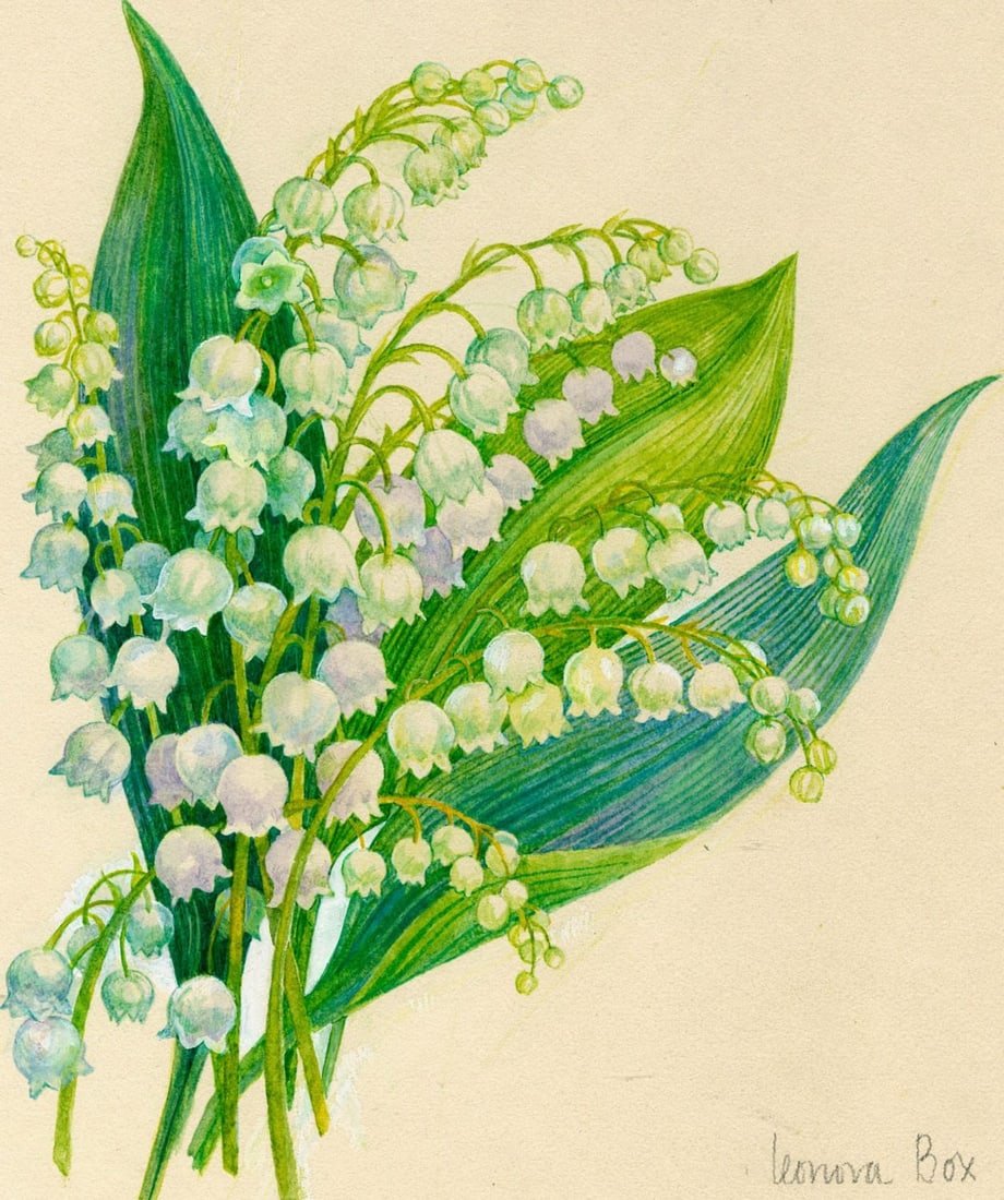 Leonora Box (UK,1936-?) watercolor painting (1 of 13)