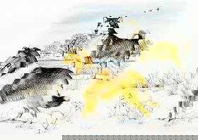 Peter Barrett (UK,1935-?) watercolor painting: ARTIST: Peter Barrett (United Kingdom, 1935 - ???) TITLE: Dogs - Alaskan Malamute, American Collie YEAR: 1984 MEDIUM: watercolor on paper. Paper applied to board.