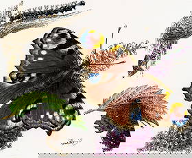 Basil Smith (UK,1925-2010) watercolor painting: ARTIST: Basil Smith (United Kingdom, 1925 - 2010) TITLE: Isle of Man - Peacock Butterfly (titled on verso) YEAR: 1993 MEDIUM: watercolor on board CONDITION: