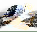 Don Balke (NC,1933-?) gouache painting