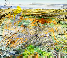 Michael Warren (UK,1938-?) watercolor painting: ARTIST: Michael Warren (United Kingdom, 1938 - ???) TITLE: American Goldfinch Bird, North Dakota YEAR: 1985 MEDIUM: watercolor on heavy paper CONDITION: