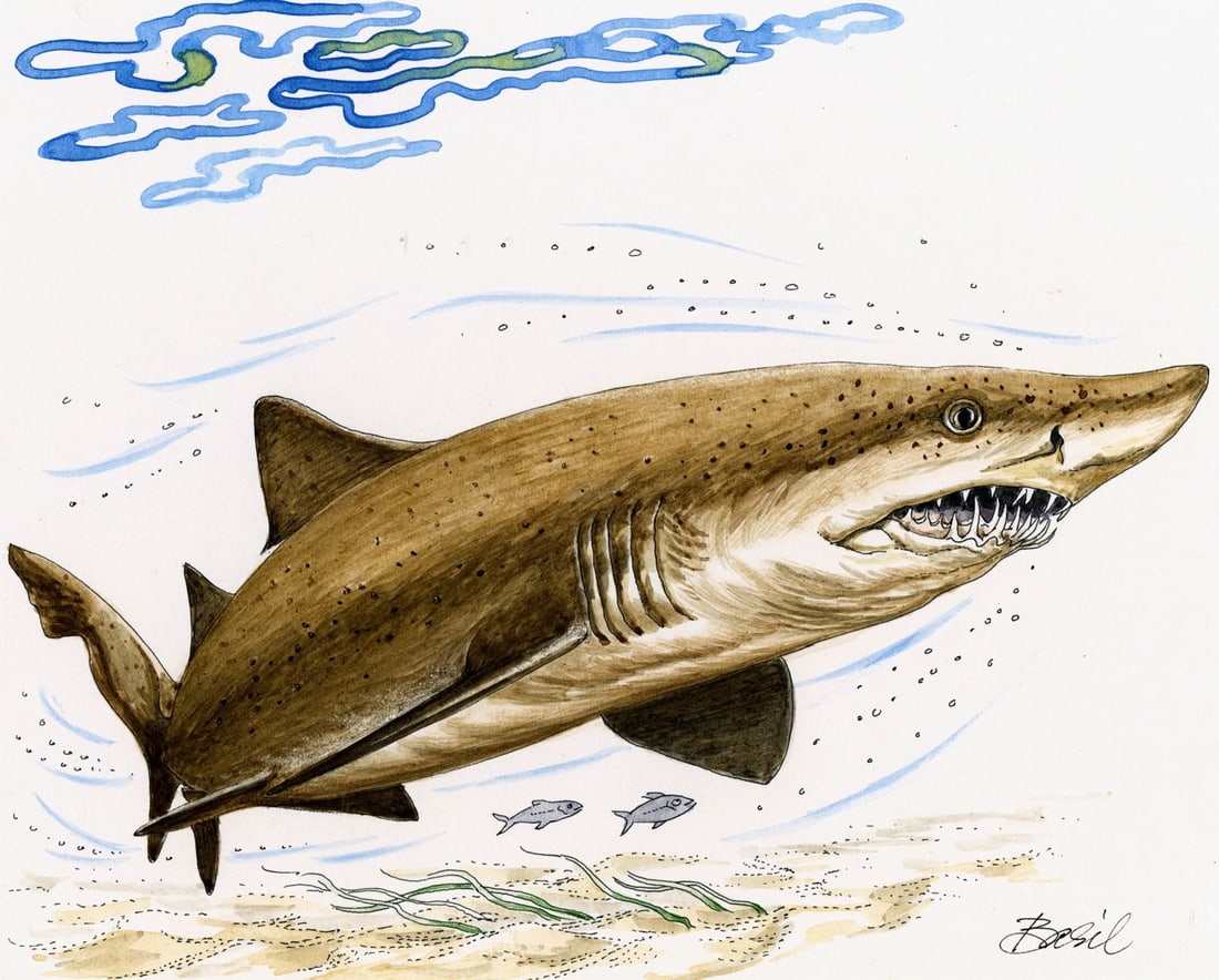 Basil Smith (UK,1925-2010) watercolor painting (1 of 14)