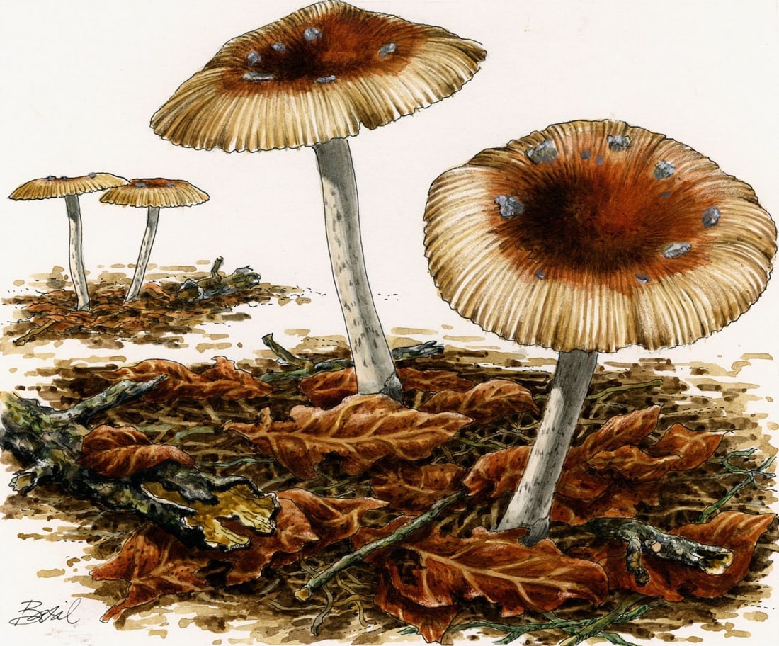 Basil Smith (UK,1925-2010) watercolor painting (1 of 13)