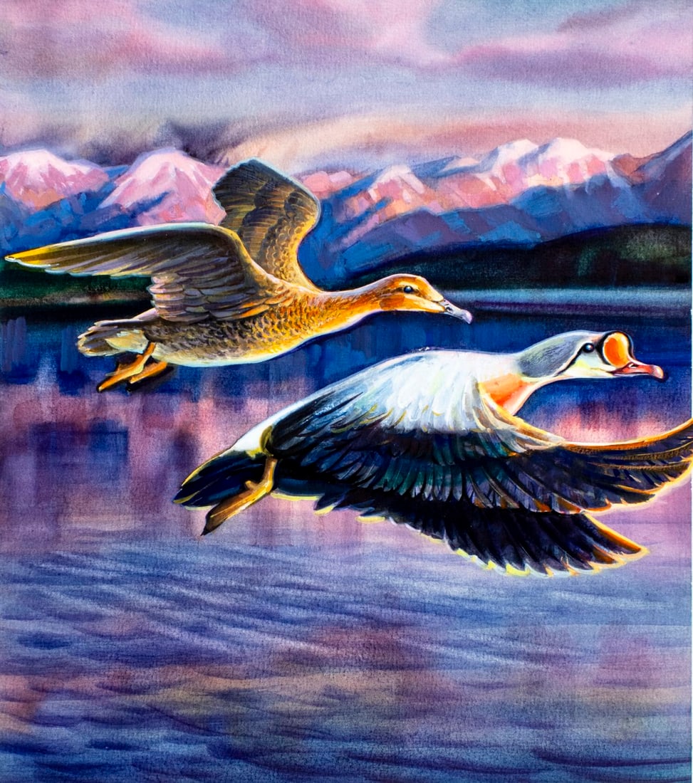 Ivan Kozlov (Russia,1937-?) watercolor painting: ARTIST: Ivan Kozlov (Russian, 1937 - ???) TITLE: Russia Duck Conservation - King Eider Duck (titled on verso) YEAR: 1993 MEDIUM: watercolor on paper CONDITION:<