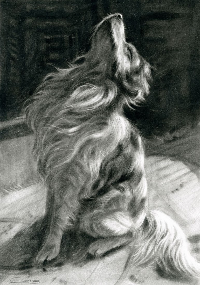 Viktoria Hensetska (Ukraine,20/21C) pastel painting: ARTIST: Viktoria Hensetska (Ukrainian, 20/21 centuries) TITLE: Dog MEDIUM: pastel on heavy paper CONDITION: Very good. ART SIZE: 12 x 8 inches / %HEIGHTC