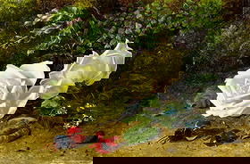 ATTR Alice Macallan Swan (UK,1864-1935) oil painting antique: ARTIST: ATTRIBUTED TO Alice Macallan Swan (United Kingdom, 1864 - 1935) TITLE: Still Life with Roses MEDIUM: oil on canvas CONDITION: Some scratches/paint losses. Very min